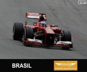 yapboz Fernando Alonso - Ferrari - 2013 Brezilya Grand Prix, gizli bir 3.